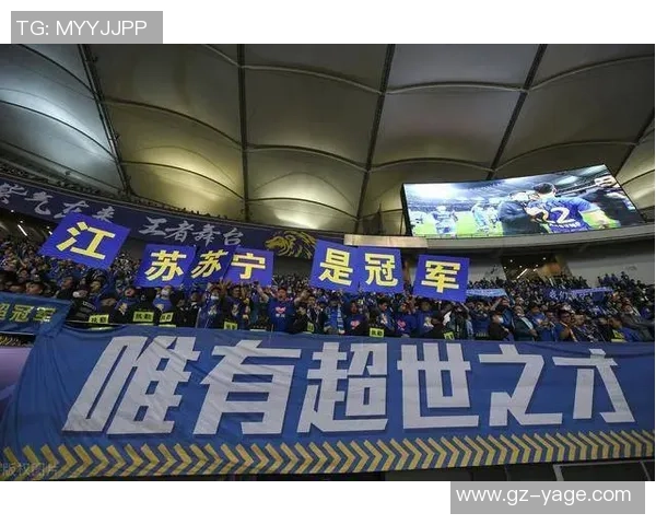 申花与苏宁激战全场精彩录像回放尽在此处不容错过