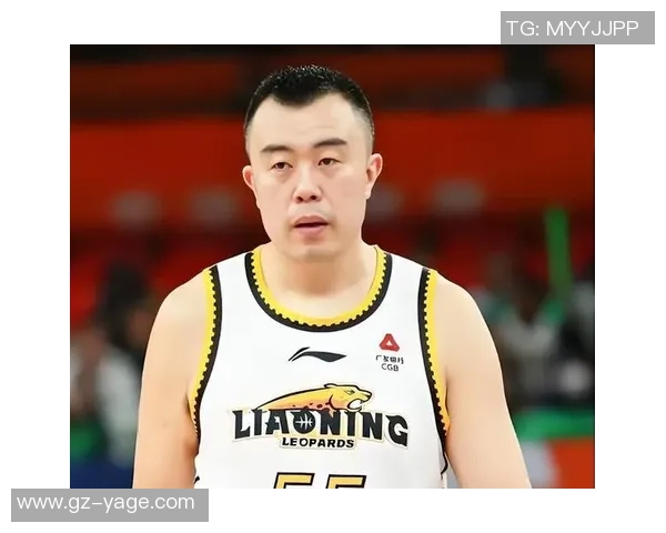 韩德君：从篮球新星到职业生涯巅峰的奋斗历程与荣耀时刻