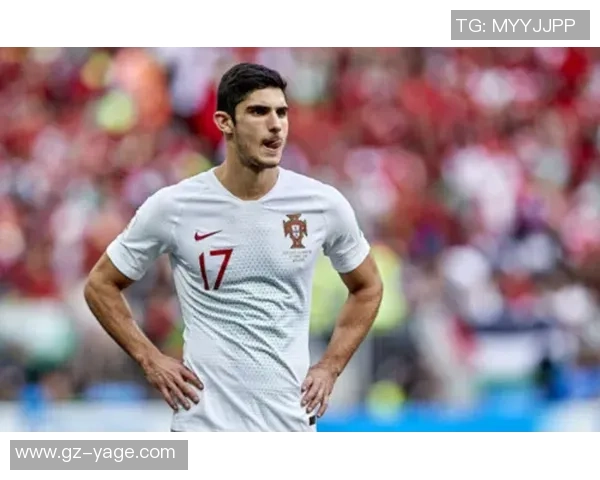 伊朗与葡萄牙对决分析及心水推荐助你赢得投注胜利