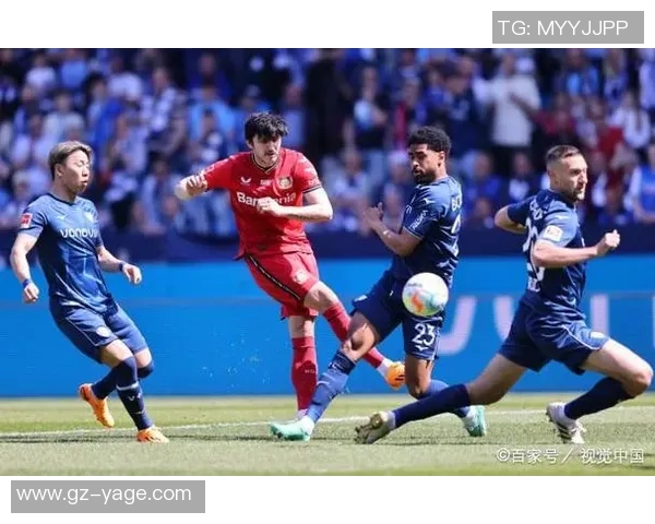 布兰主场迎战罗森博格期待精彩对决与胜利的较量