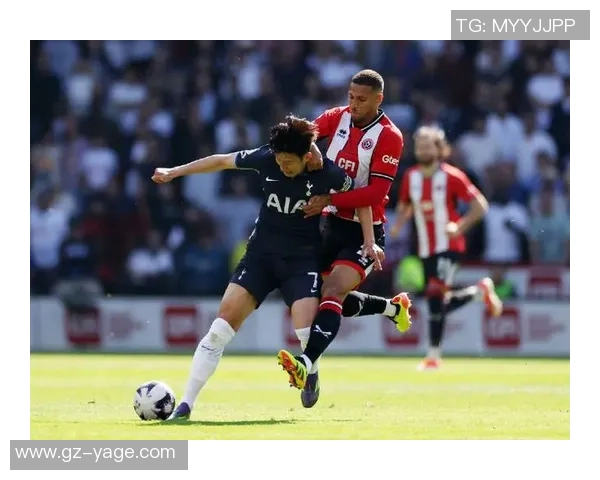 谢菲尔德对阵热刺精彩直播全程回顾与赛后分析 谢菲尔德对阵热刺精彩直播全程回顾与赛后分析