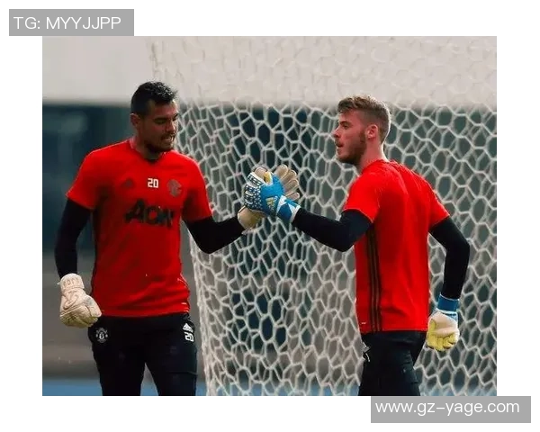 巴西与德国经典对决进球集锦回顾精彩瞬间重温足球盛宴 巴西与德国经典对决进球集锦回顾精彩瞬间重温足球盛宴