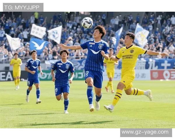 新泻天鹅主场迎战仙台挑战赛精彩对决即将上演 新泻天鹅主场迎战仙台挑战赛精彩对决即将上演