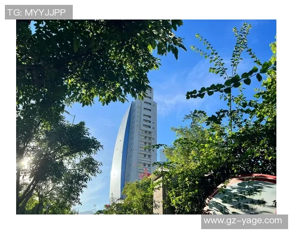 武汉羽毛球队实力飙升创历史新高引发全国关注与期待