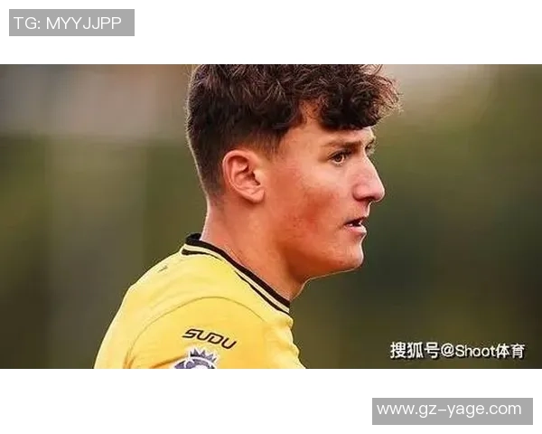 狼队与诺维奇对决分析及比赛前瞻展望