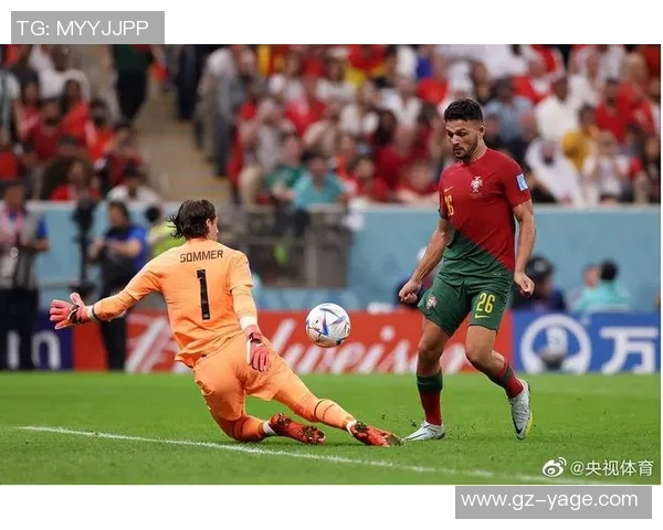 葡萄牙对瑞士精彩直播全程回顾与赛后分析尽在这里