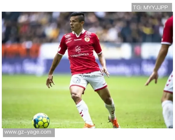 赫根与卡尔玛对决分析及胜负推荐策略分享